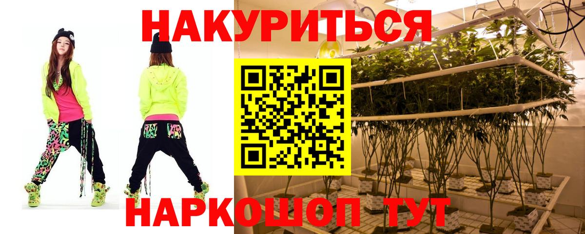 Конопля конопля Коммунар